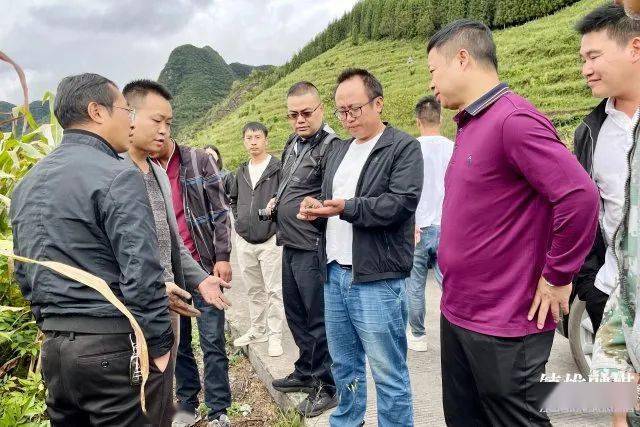 2023年云南省青年人才服务基层活动走进镇雄