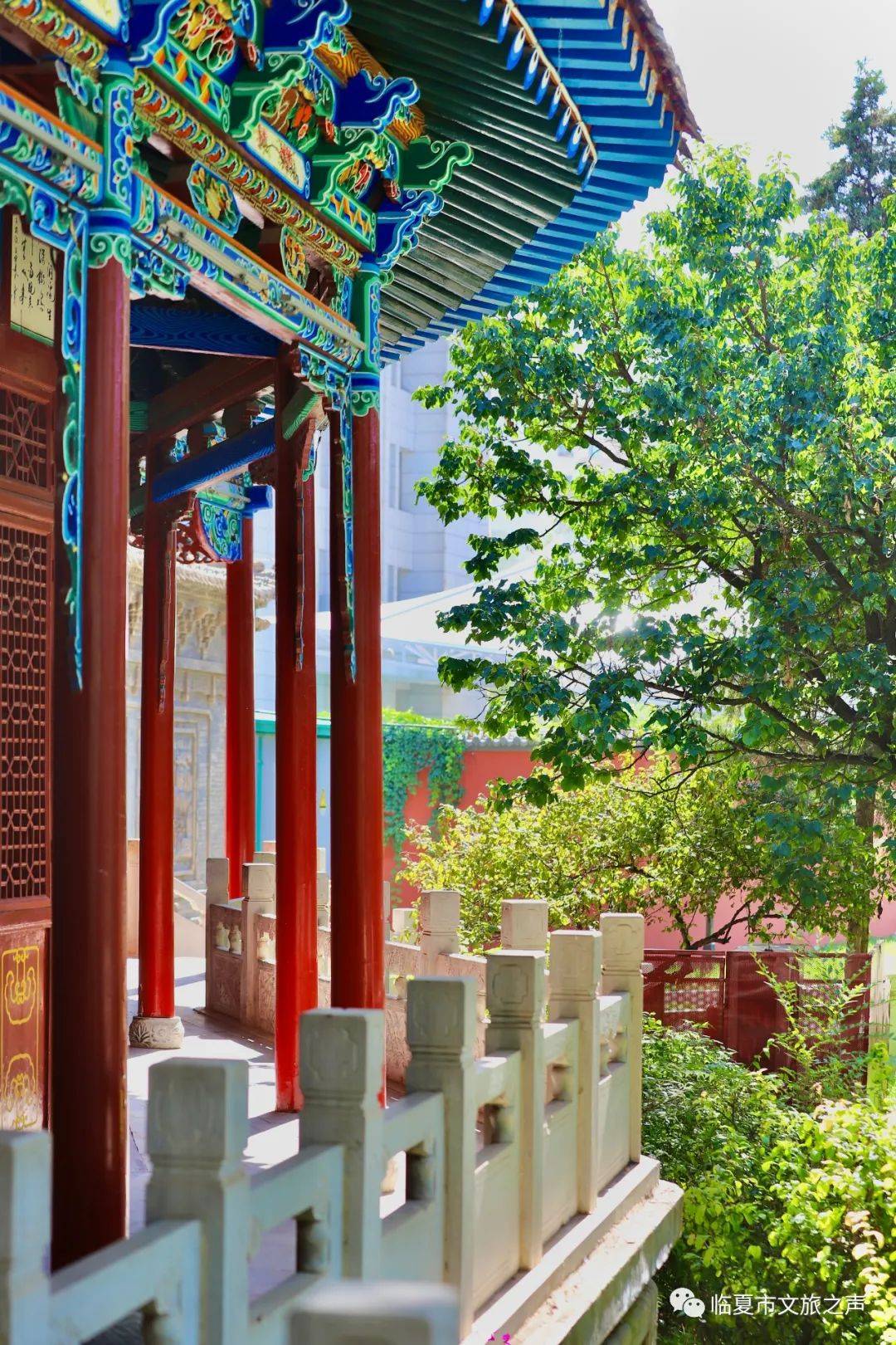 临夏好,最忆是红园!_园林_时光_老园