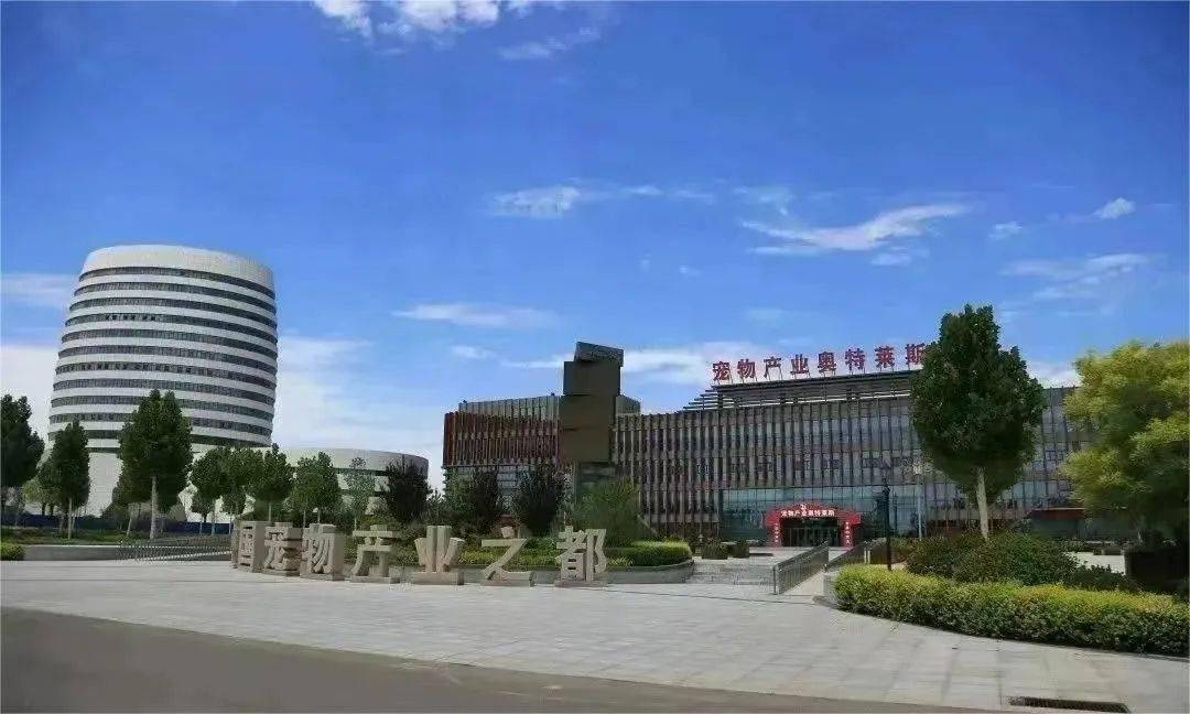 邢台市南和区举办2023年"质量月"活动暨宠物产业质量提升行动启动仪式