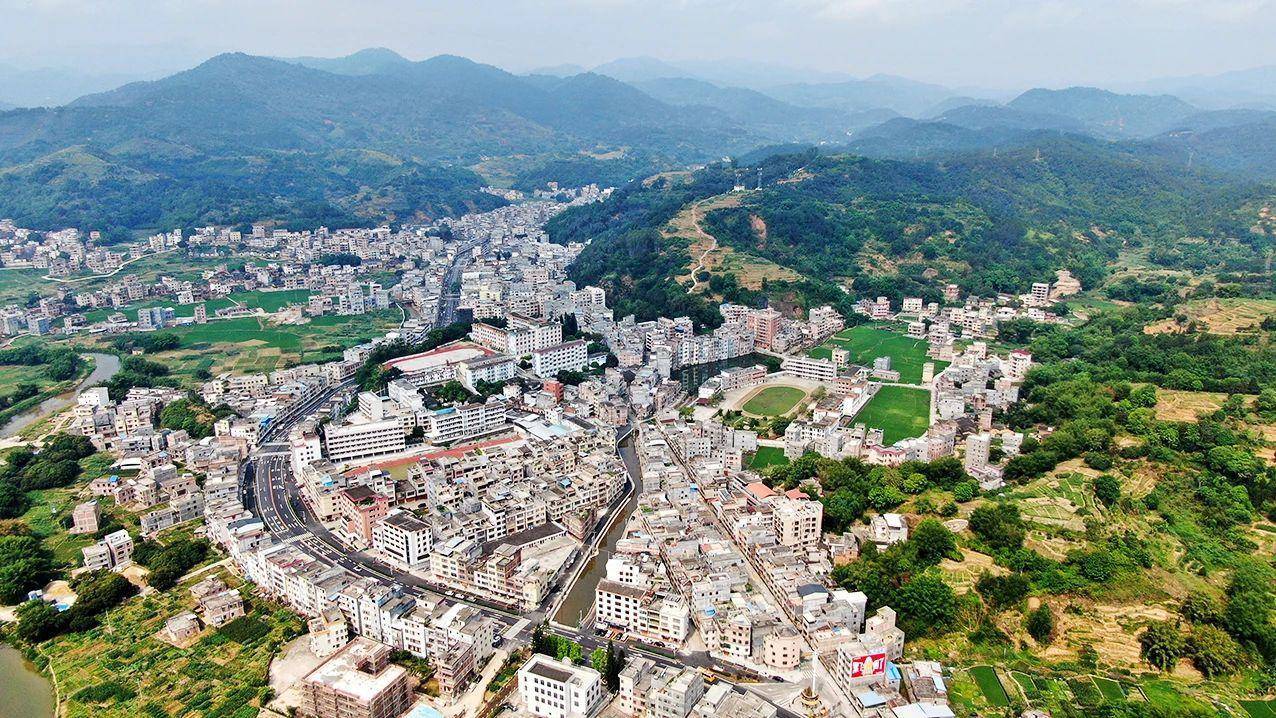 云浮罗定市泗纶镇:发展融合产业 全面推动"百千万工程"落地见效_蒸笼