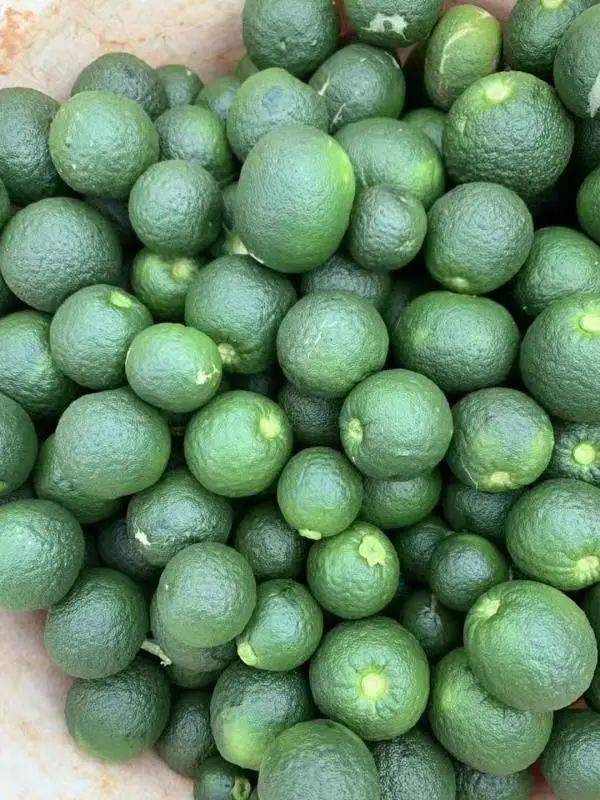 枳壳_清江_丰城市