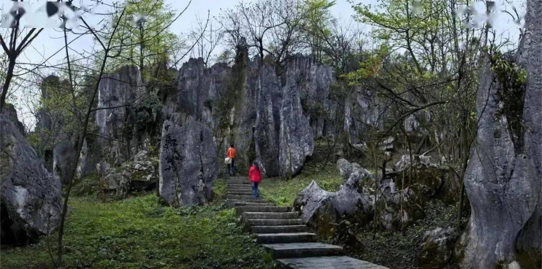 0833-3658133详细地址:四川省乐山市沙湾区沙湾镇商家名称:美女峰国家