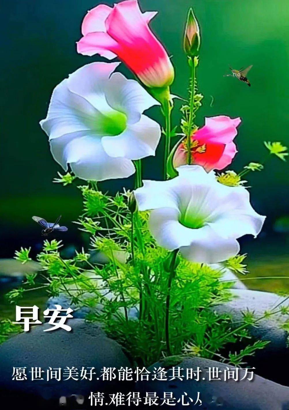 心情_问候_朋友