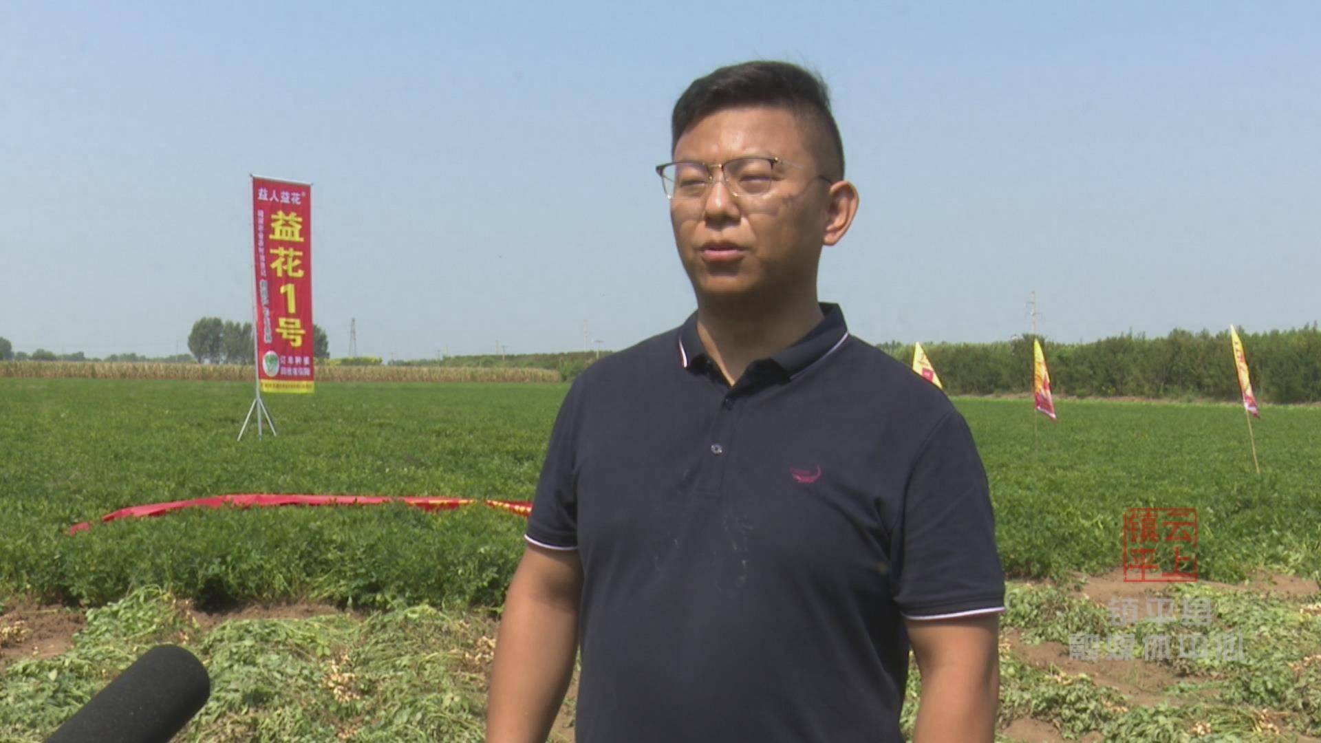 6斤!镇平县优质花生品种亩产创历史新高_种植_益花_产量