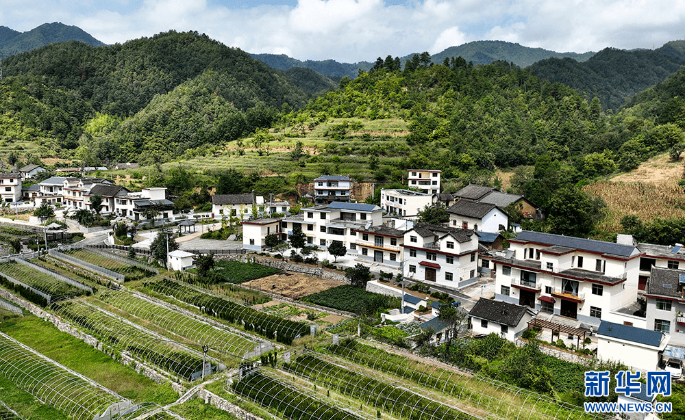 商洛丨柞水:建设秦岭山水乡村 共享宜居幸福家园_群众_发展_红岩寺镇