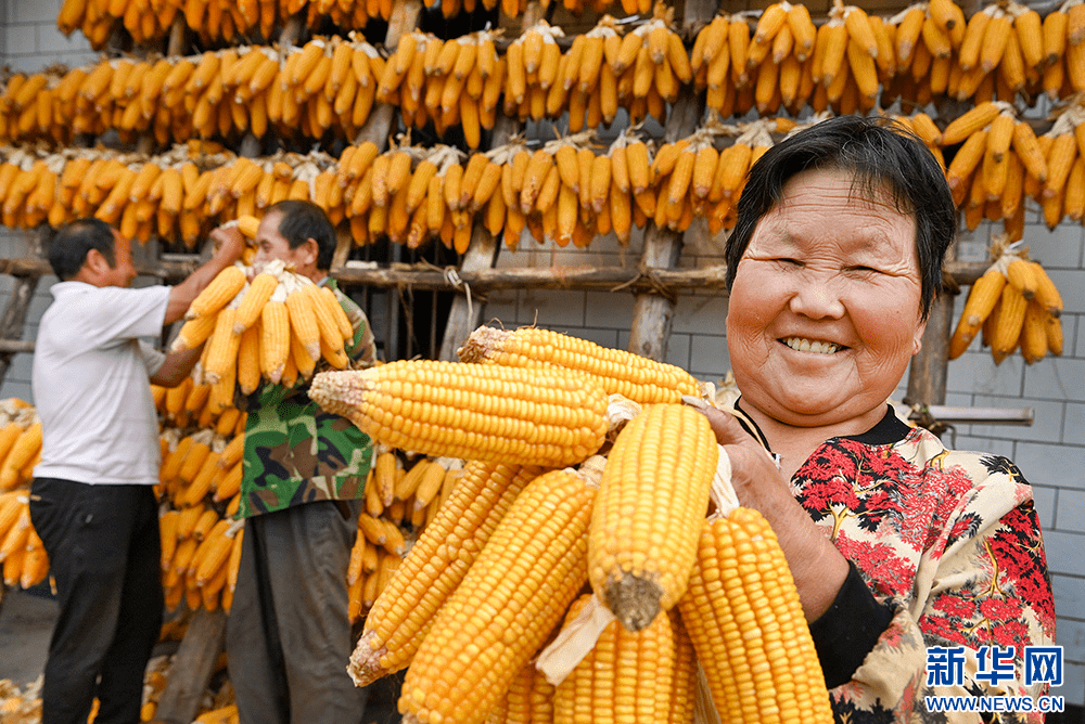 央媒看商洛丨柞水:建设秦岭山水乡村 共享宜居幸福家园_群众_发展