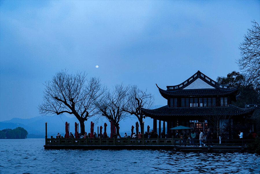 秋天,也叫白茂"世间温柔,不过是芳春柳摇染花香,槐序蝉鸣入深巷,白茂
