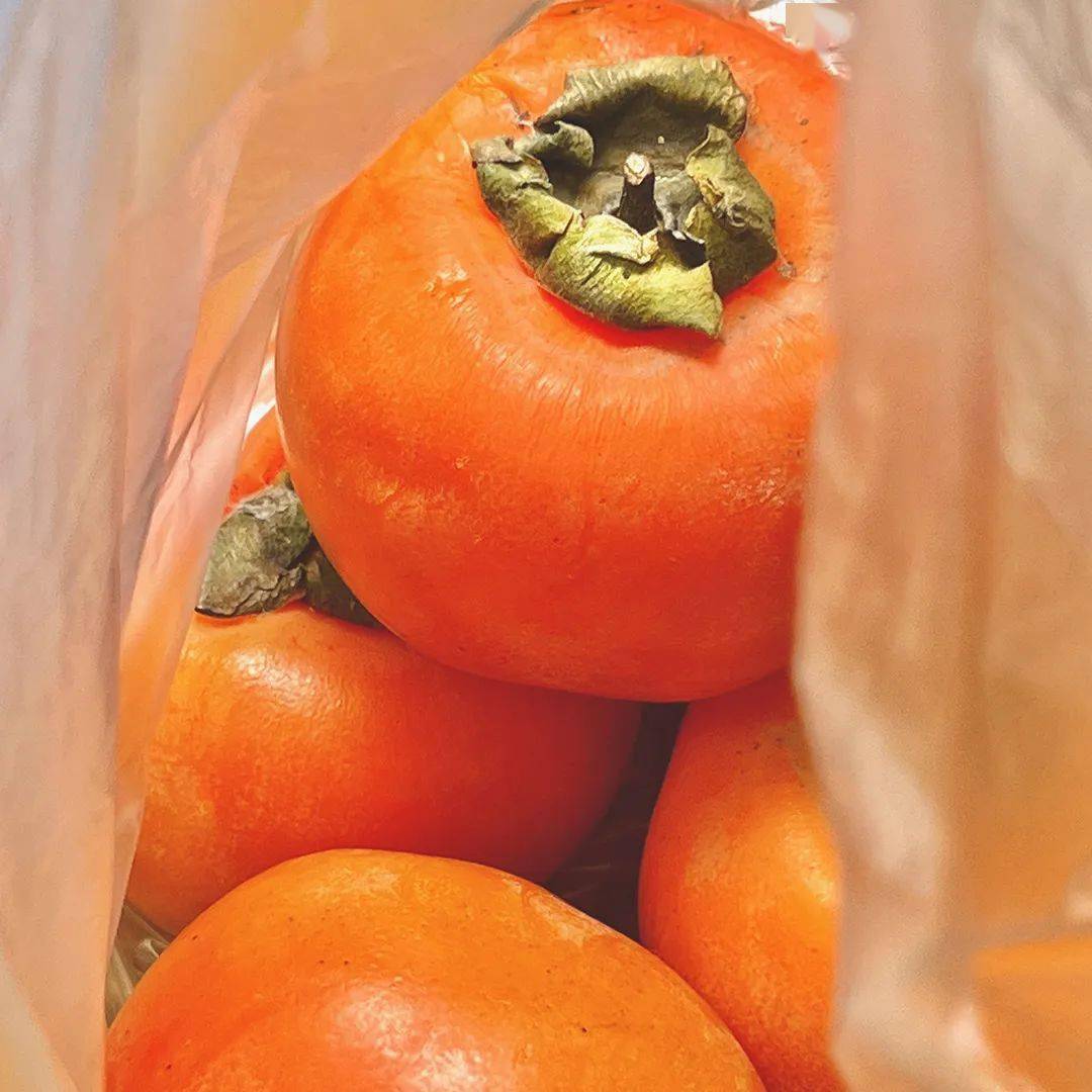 官方发布 | 复旦大学公布硕士学位研究生章程_考试_招生_人员