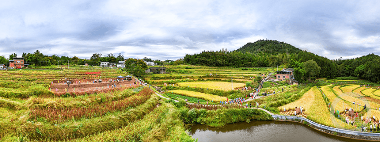 《丰收啦》组照九 熊林峰 摄于云阳县渠马镇白岭村投稿邮箱:syxw@vip.