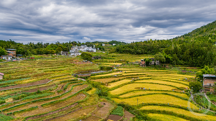 《丰收啦》组照一 熊林峰 摄于云阳县渠马镇白岭村《丰收啦》组照二