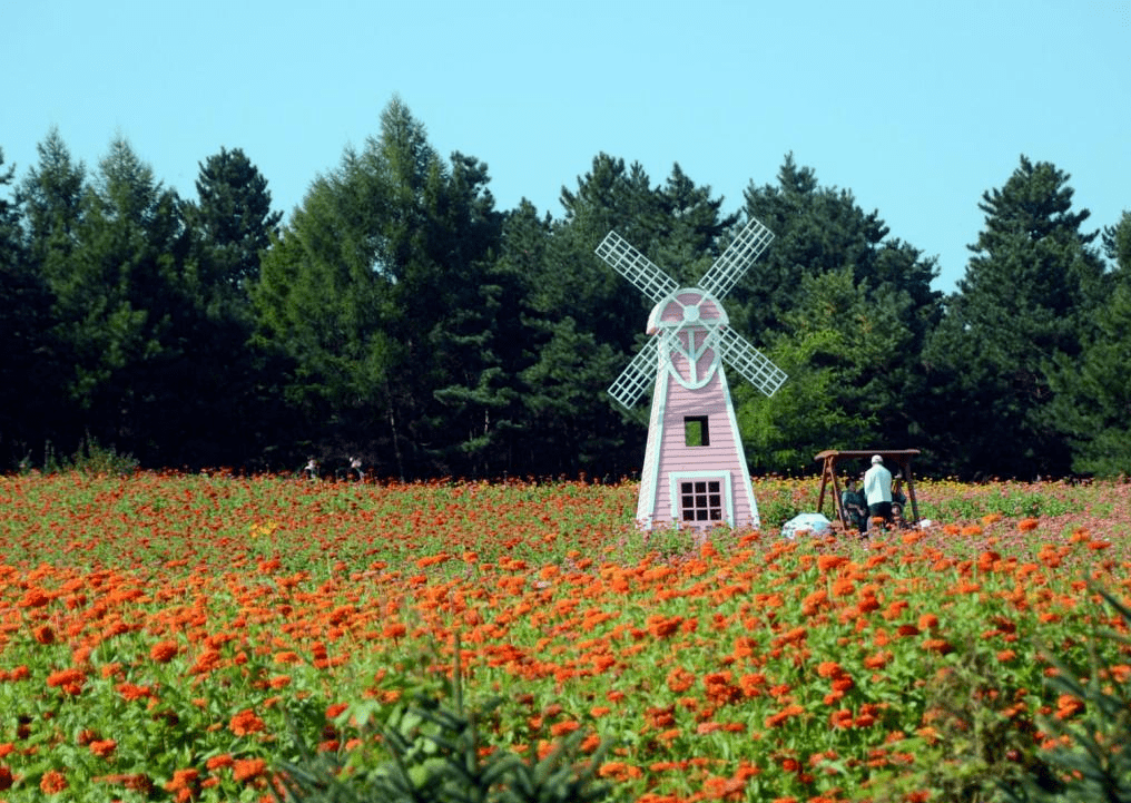 秋天的延边,更是多彩的,位于延吉市帽儿山山脚下5.