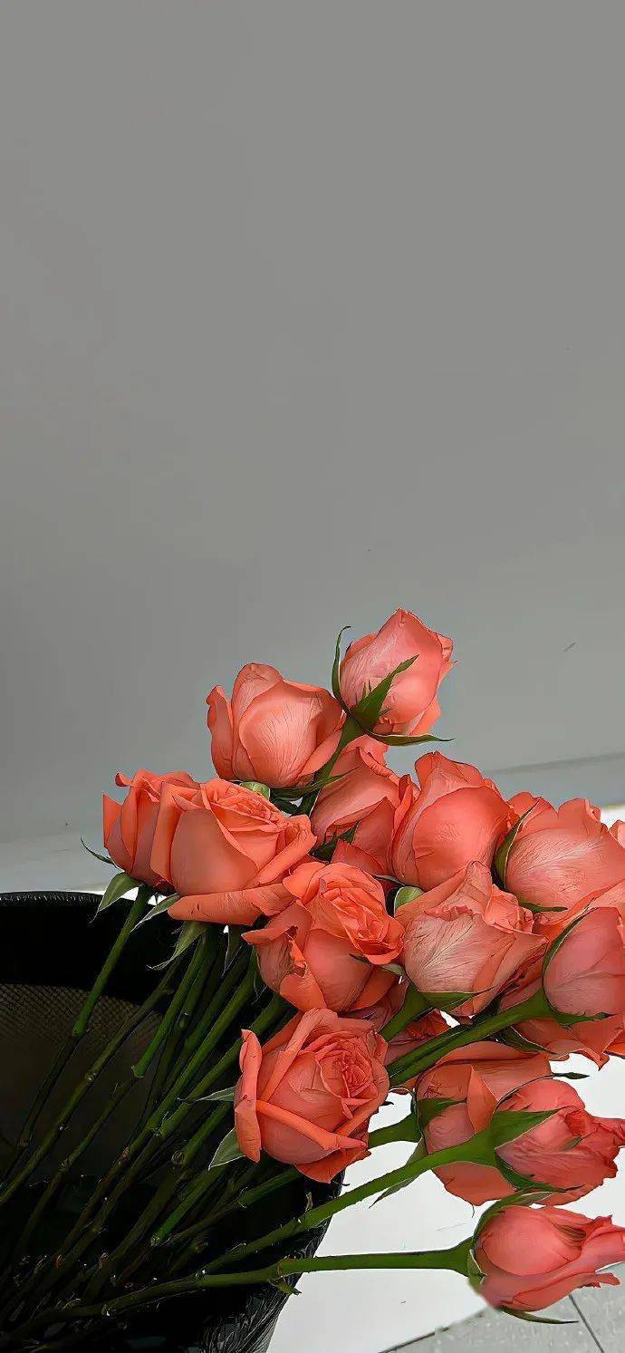 壁纸| ins高级质感壁纸_图文_原网