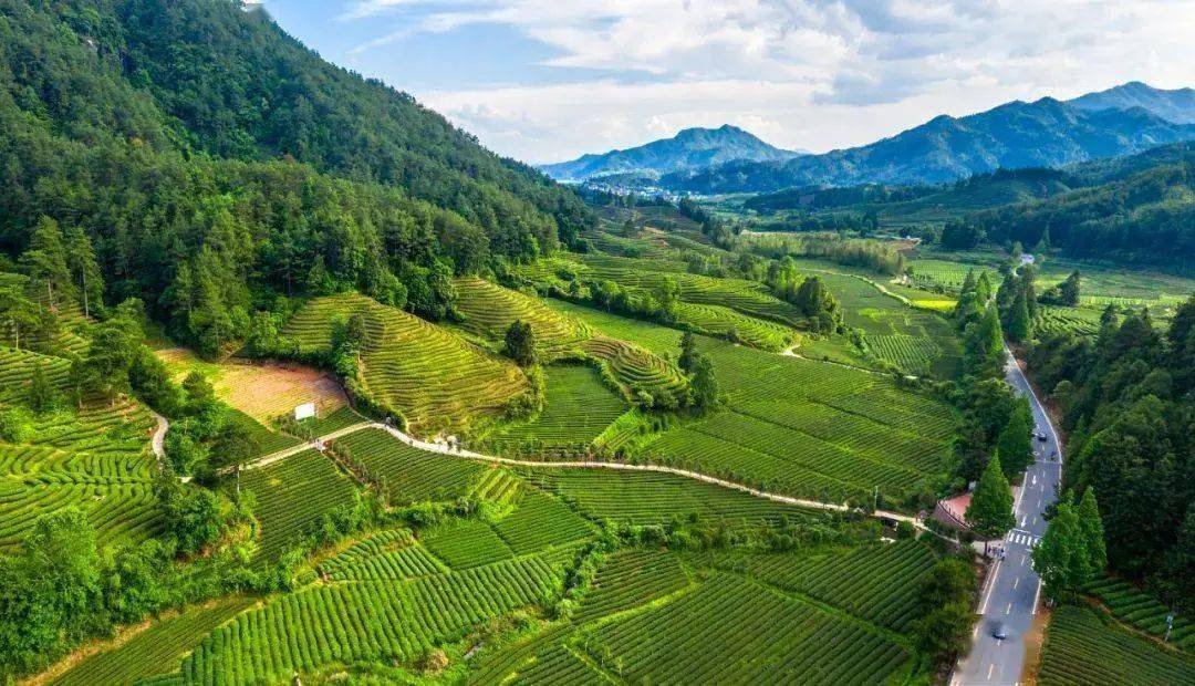 "中国联通"2023武夷山马拉松赛报名ing_旅游_茶园_文化