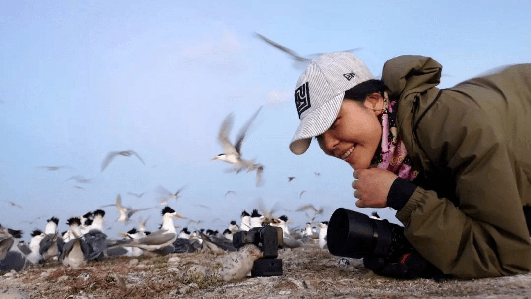 她放弃百万年薪,叫板bbc,冒死拍出水下中国_周芳_潜水_全世界