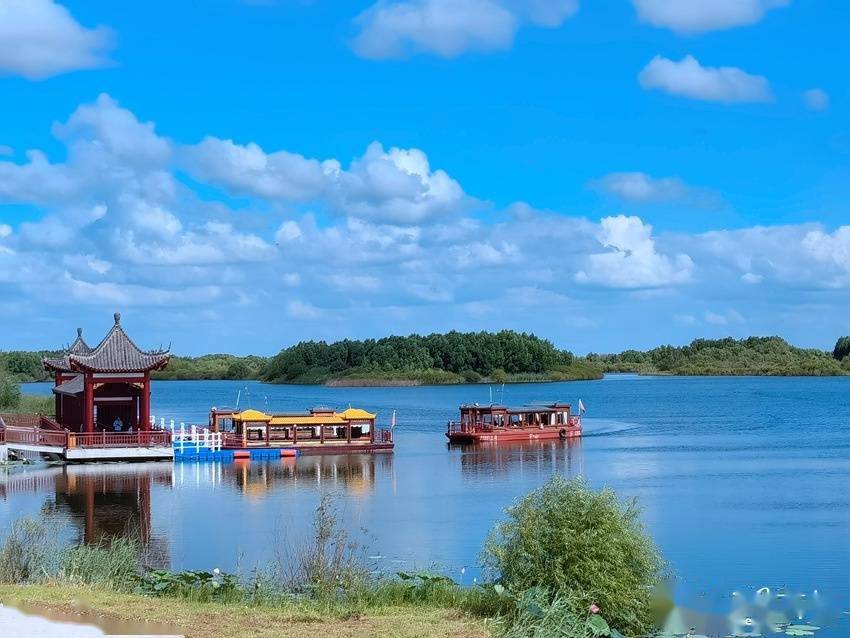 白城大安:湿地公园景怡人_嫩江_生态_游客