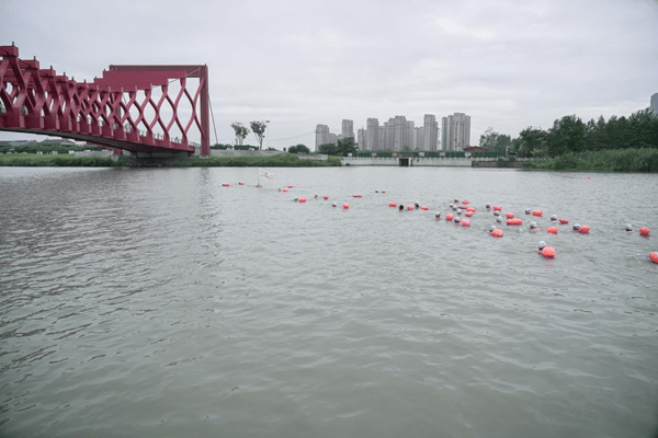 2023大运河(扬州)公开水域游泳邀请赛在扬州运河三湾举行_活动_赛事