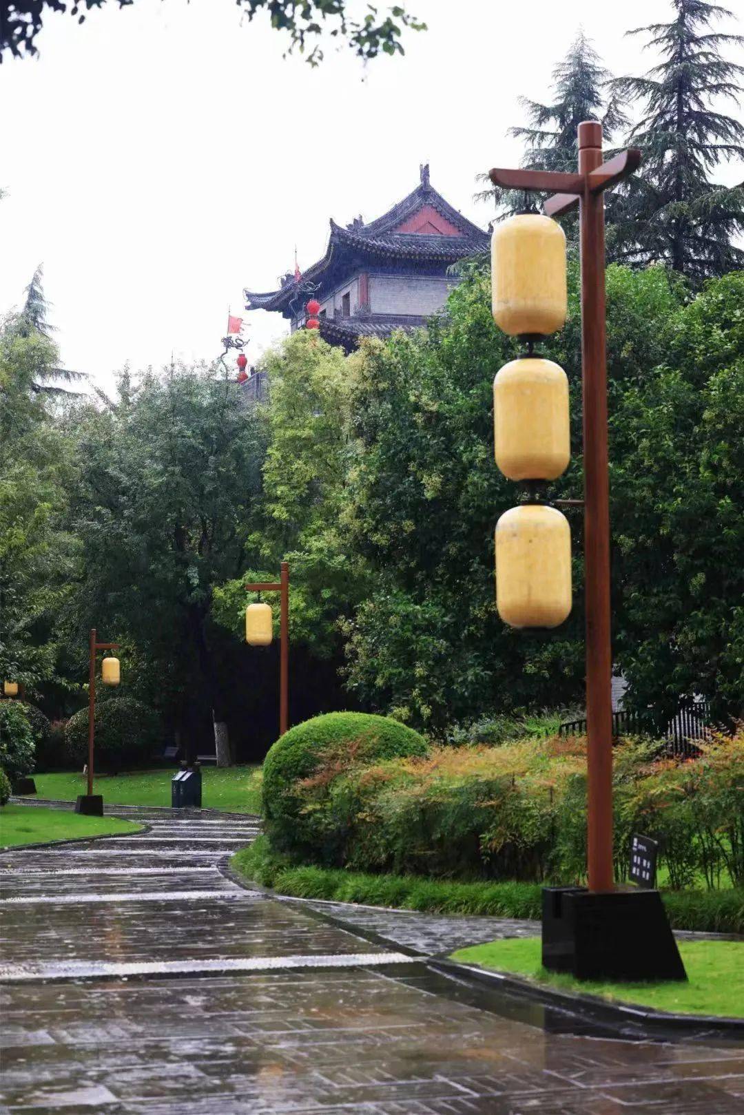 一场西安秋雨,一幅长安美景!_曲江池_雨水_公园