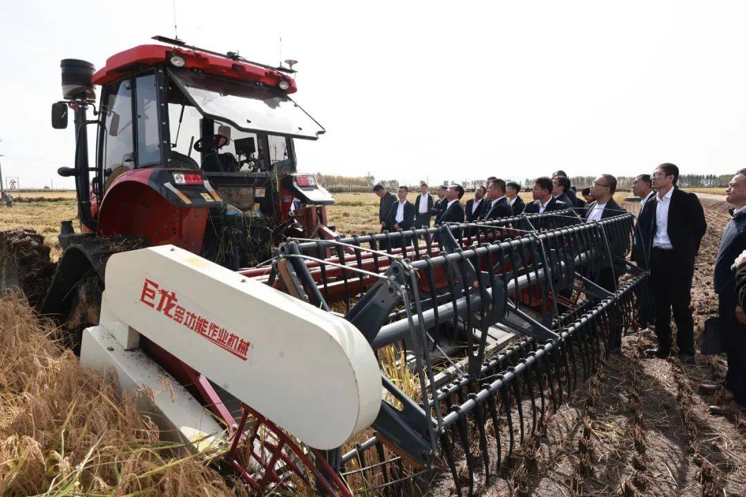 正在作业的改装履带式割晒机和配备拾禾器收割机吸引了与会人员的目光