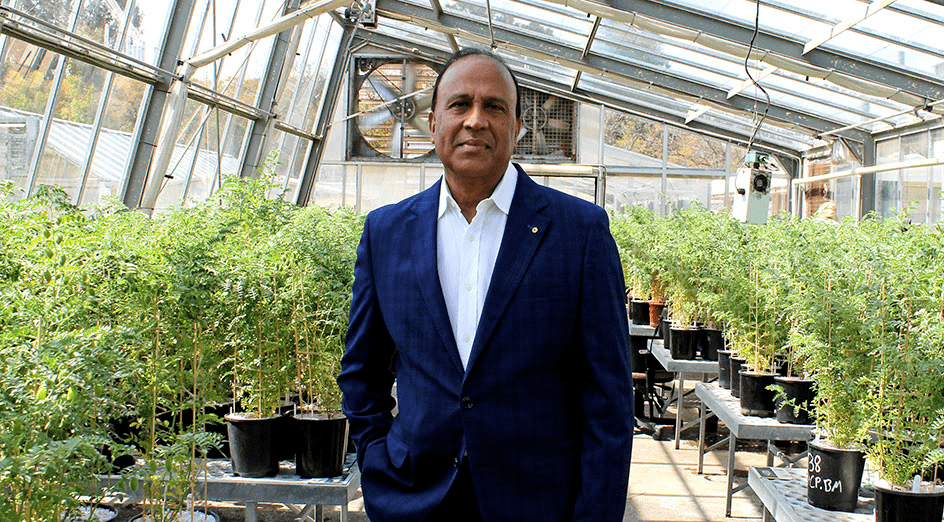 西澳大学研究人员荣获西澳州长科学奖_of_the_领域