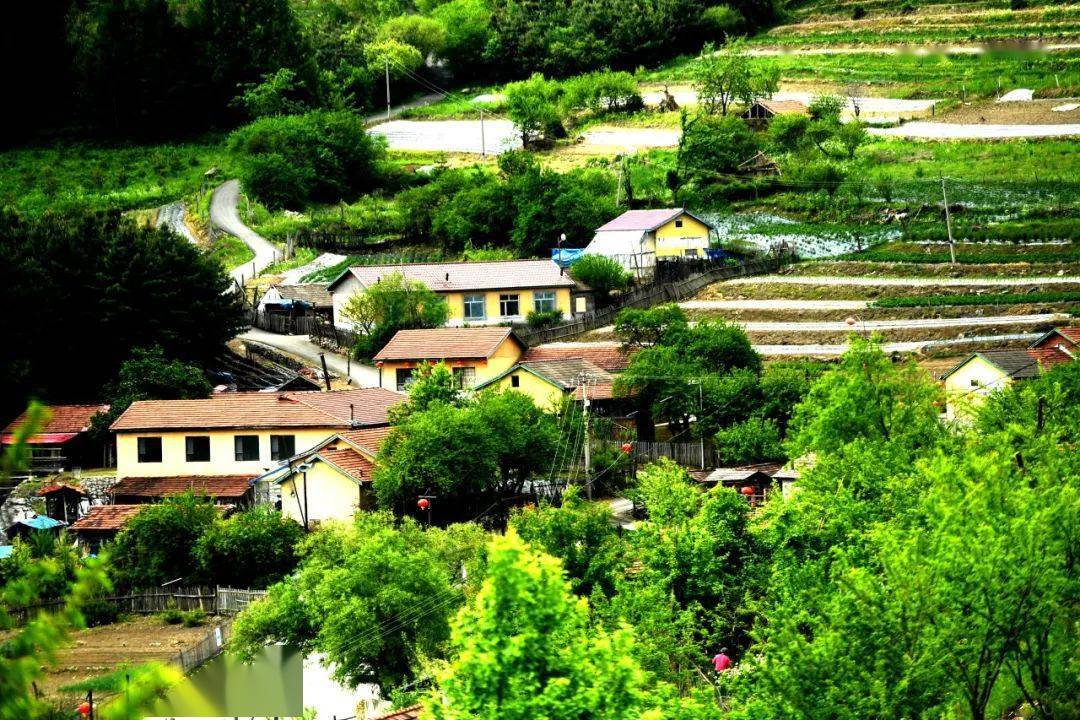 吉线g331之临江市必游攻略,后悔没早点来的宝藏小城!_雪村_小吉_草地