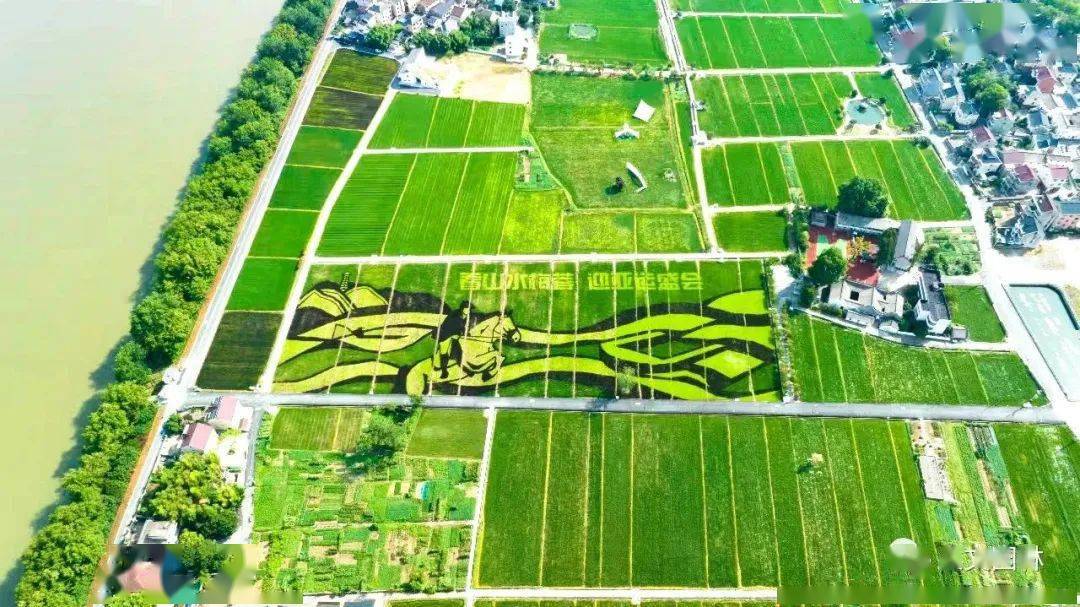 人文园林迎亚运|桐庐梅蓉彩色稻田"绘"出亚运氛围_杭州_公司_企业