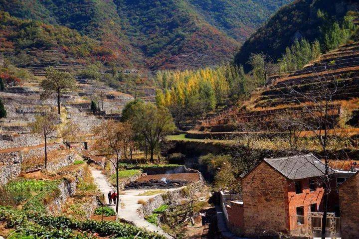 来到道宝河石头就是世界的一切石墙,石院,石厕,石磨,石凳……都是用