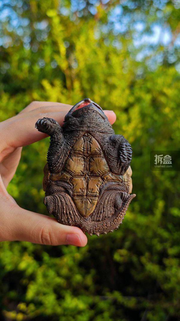 冷墨工作室 佛州拟鳄龟 原色款 原创动物模型gk摆件_公众_微信_网站