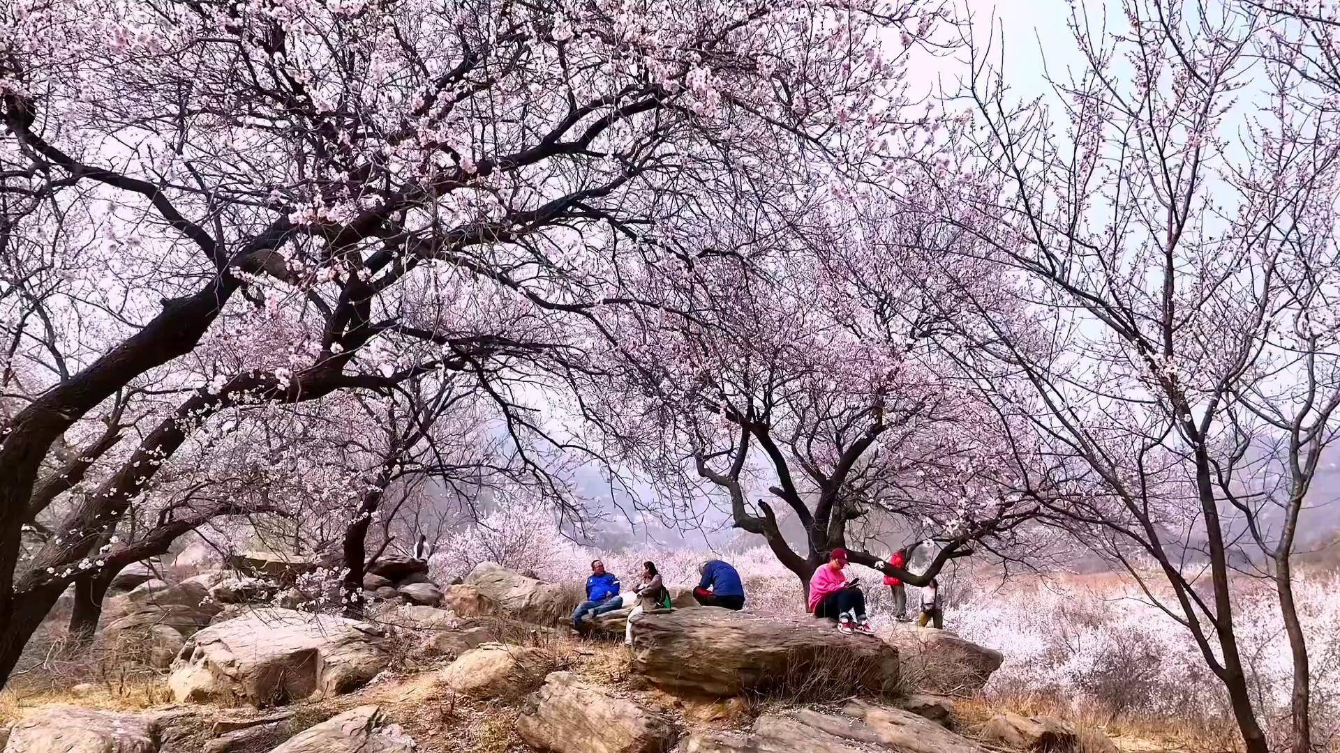 赞皇波浪坡一日游图片