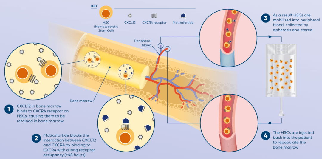 FDA 9月批准新药:从抗抑郁、罕见病,到数百亿的骨髓市场_治疗_患者_Aphexda