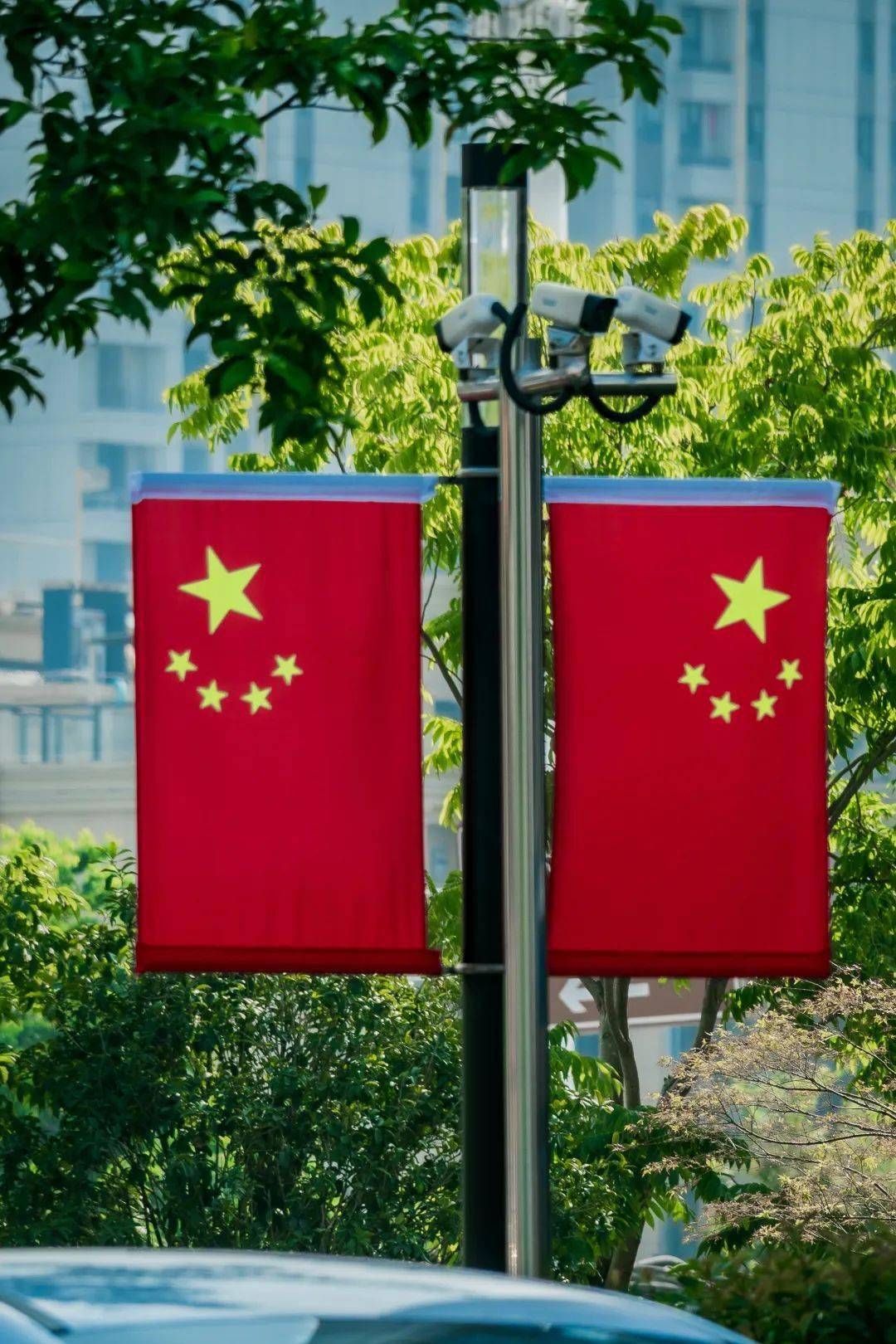 一路飘"红",这个假期wzuer这样告白祖国