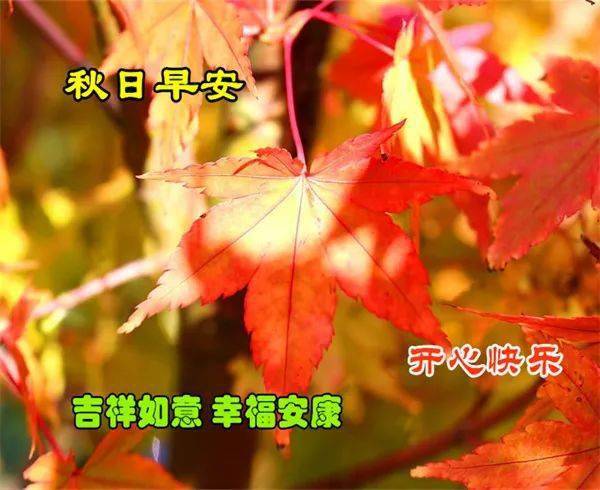 国庆节早安祝福语短句，问候朋友快乐安康！