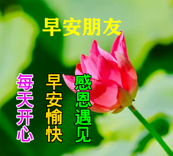 今日最新早上好动态表情图片大全,早晨好动图美图大全_朋友_阳光_生命