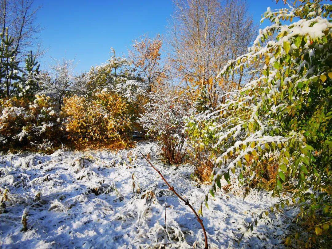 气温降 寒风起 霜冻持续 假期后半段内蒙古天气寒凉 注意保暖_地区_大