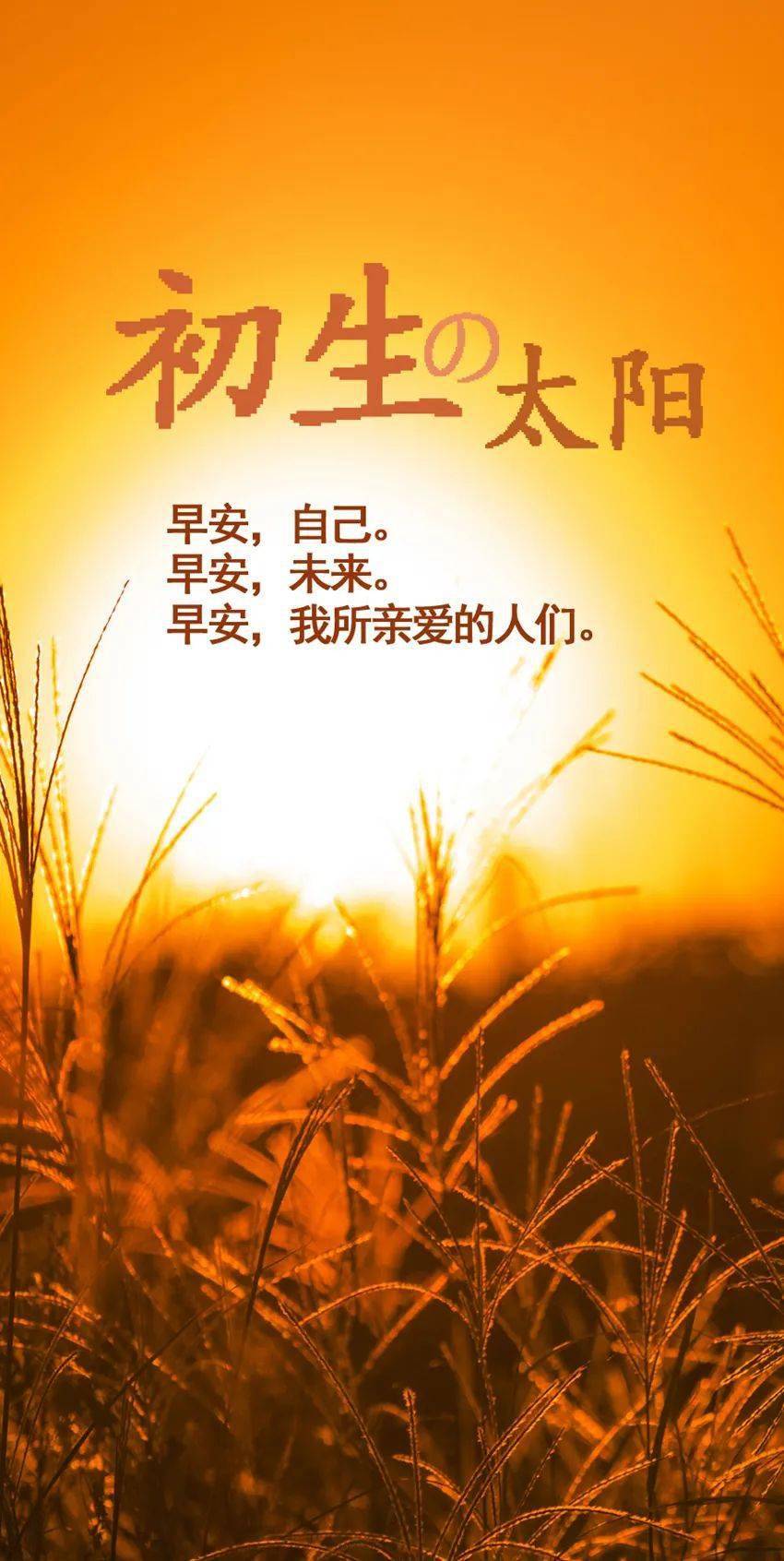 正能量励志早安语录图片:相信是成功的起点,坚持是成功的终点.