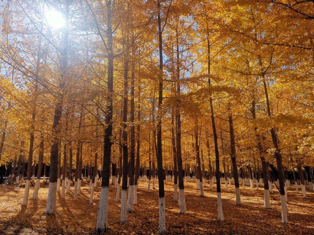 生活_事情_事物