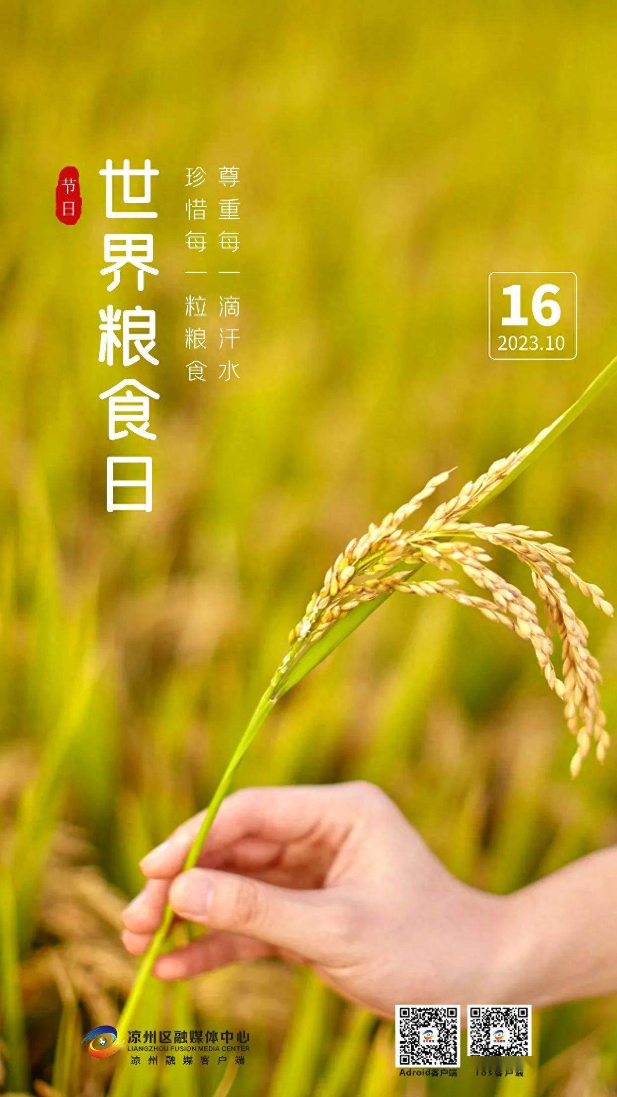【海报】世界粮食日