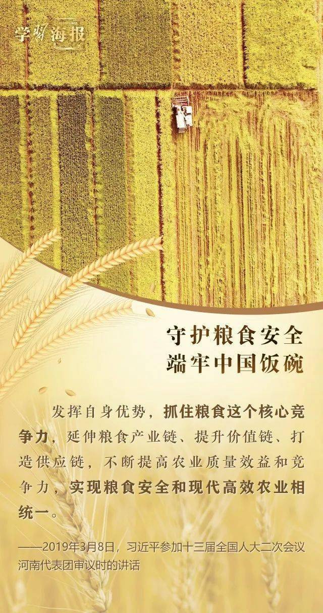 【全国粮食安全宣传周】践行大食物观 保障粮食安全_国之大_主题