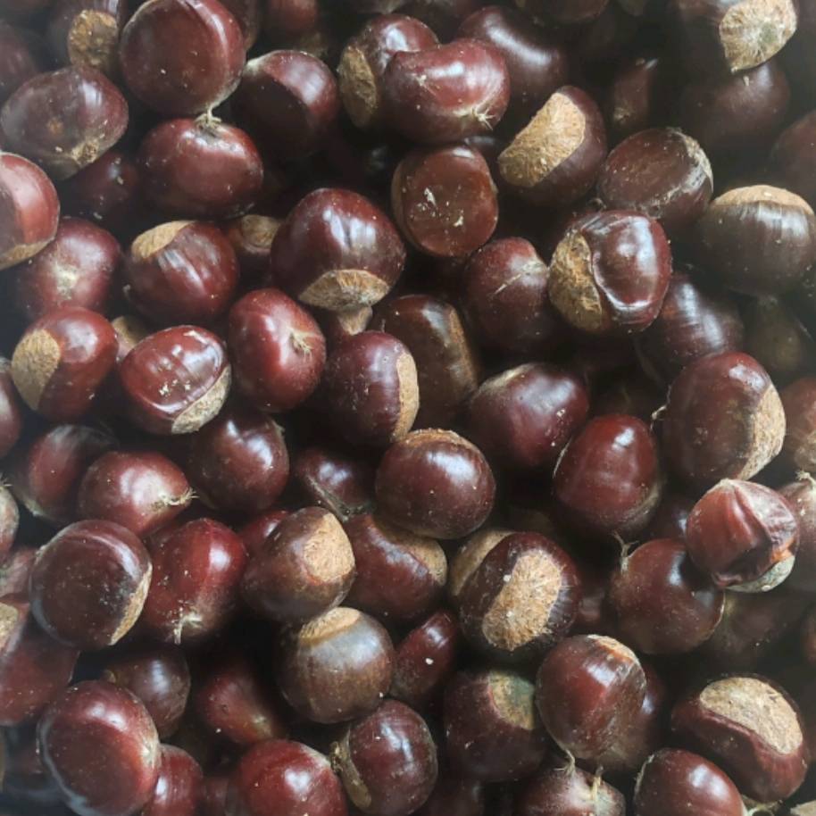 全域电商什么意思?私域运营和全域运营区别是什么?_用户_品牌_社群