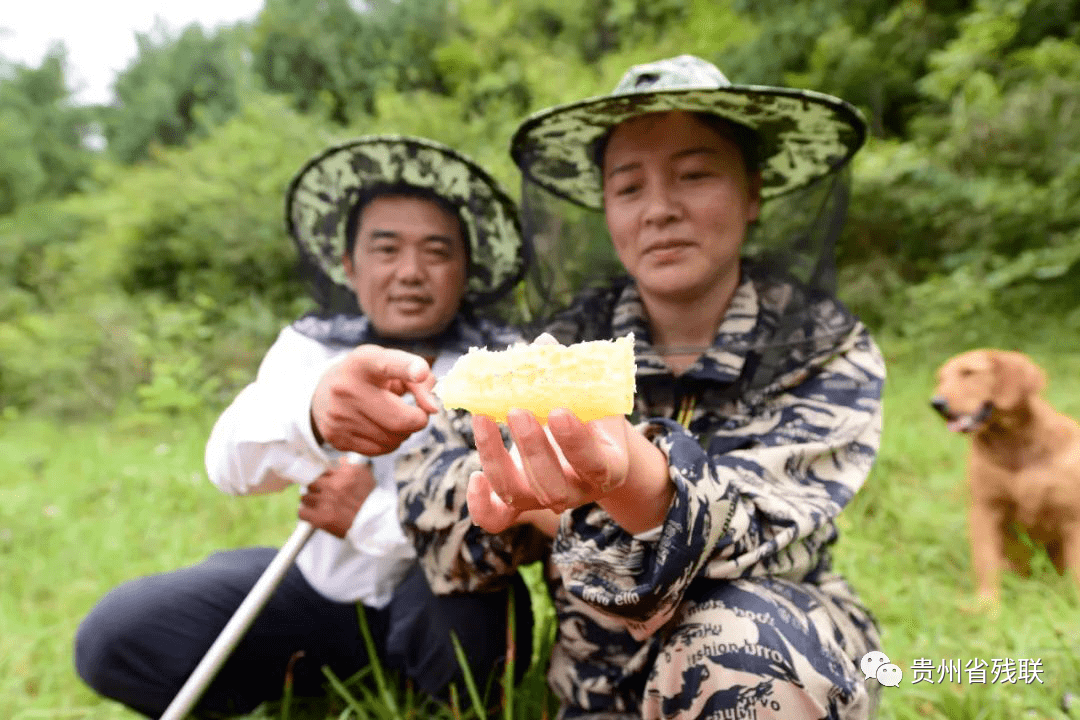 养驴是农村致富的好项目_致富经养_重生之卖菜致富养包子