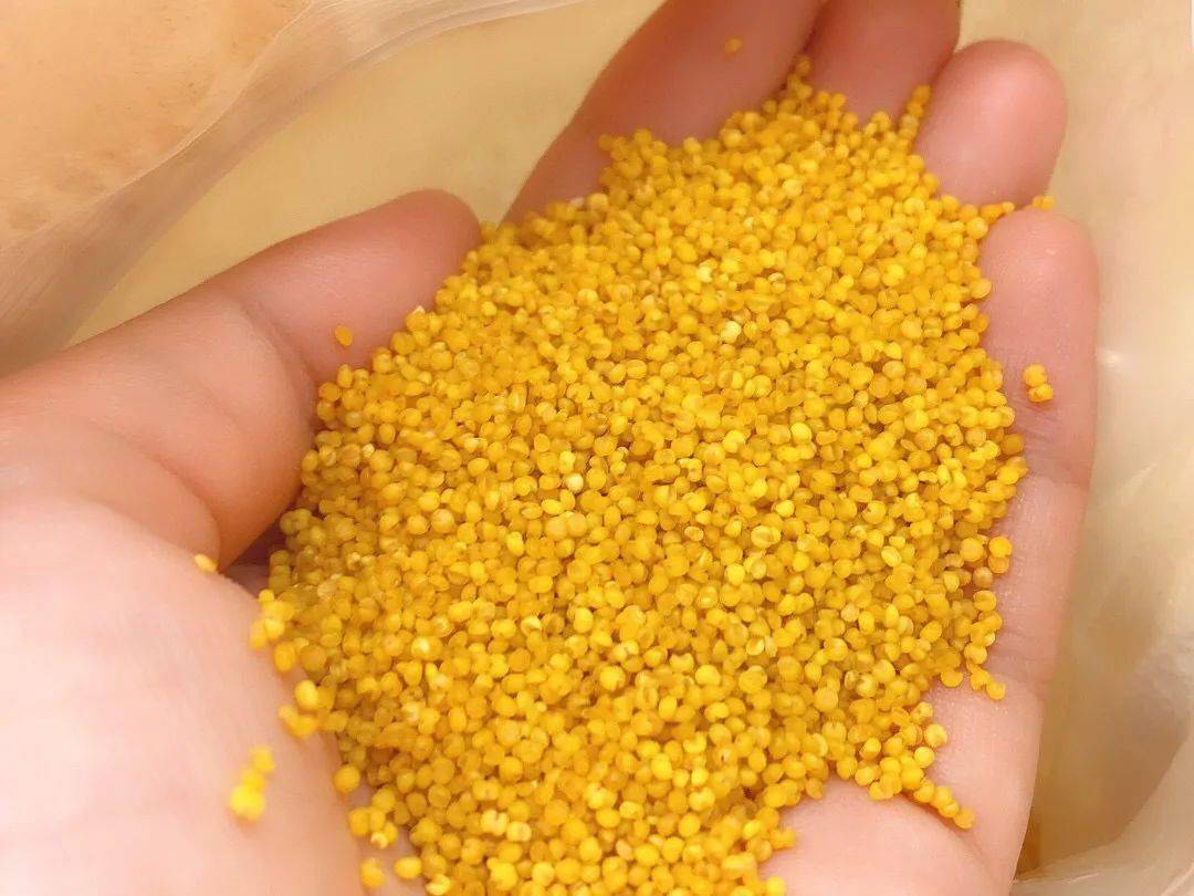 从田间到餐桌2023沂蒙山黄小米,口感香醇三层米油养胃首选,助力山区