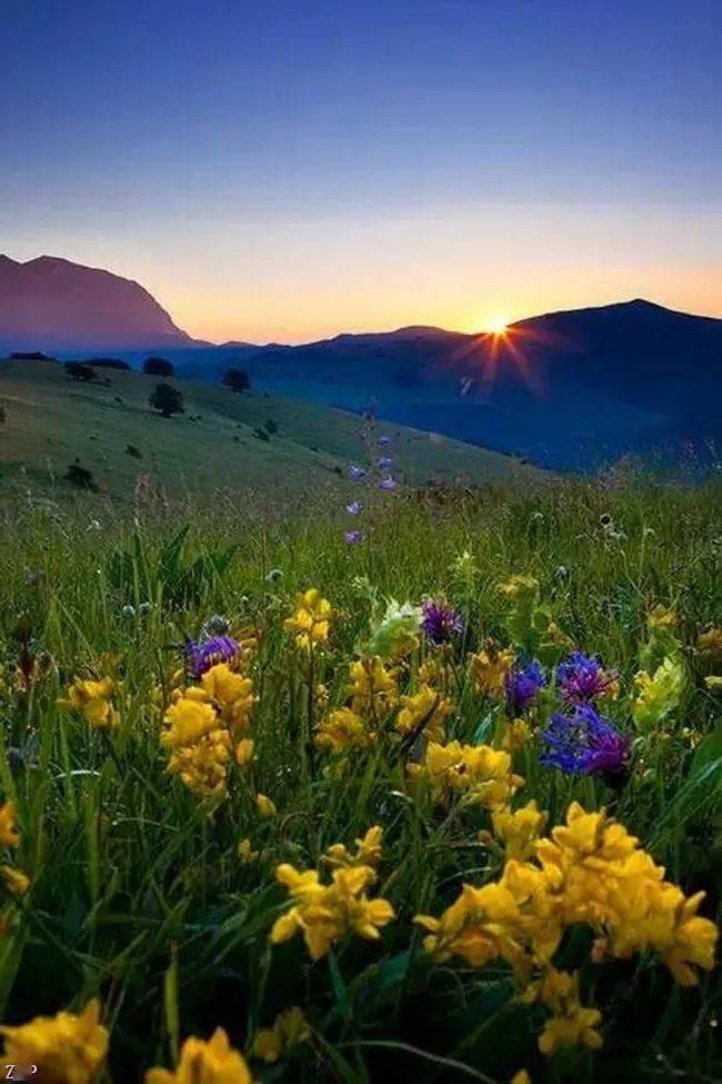 自然中的美丽光影