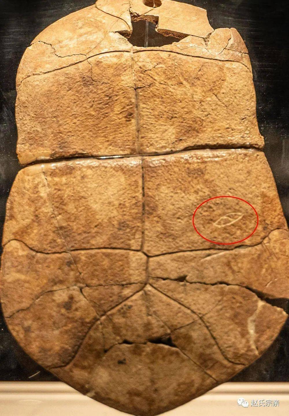 安徽发现文字双墩刻符,比甲骨文早4000年,我国文字史近7300年?