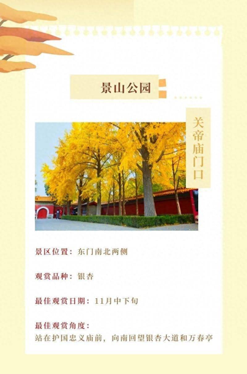 沃贝室内乐园则为家长和孩子们带来了花生漫画史努比,天线宝宝和花园