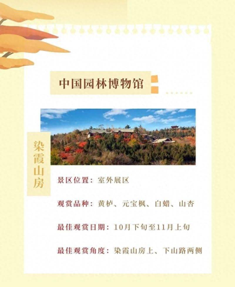 沃贝室内乐园则为家长和孩子们带来了花生漫画史努比,天线宝宝和花园