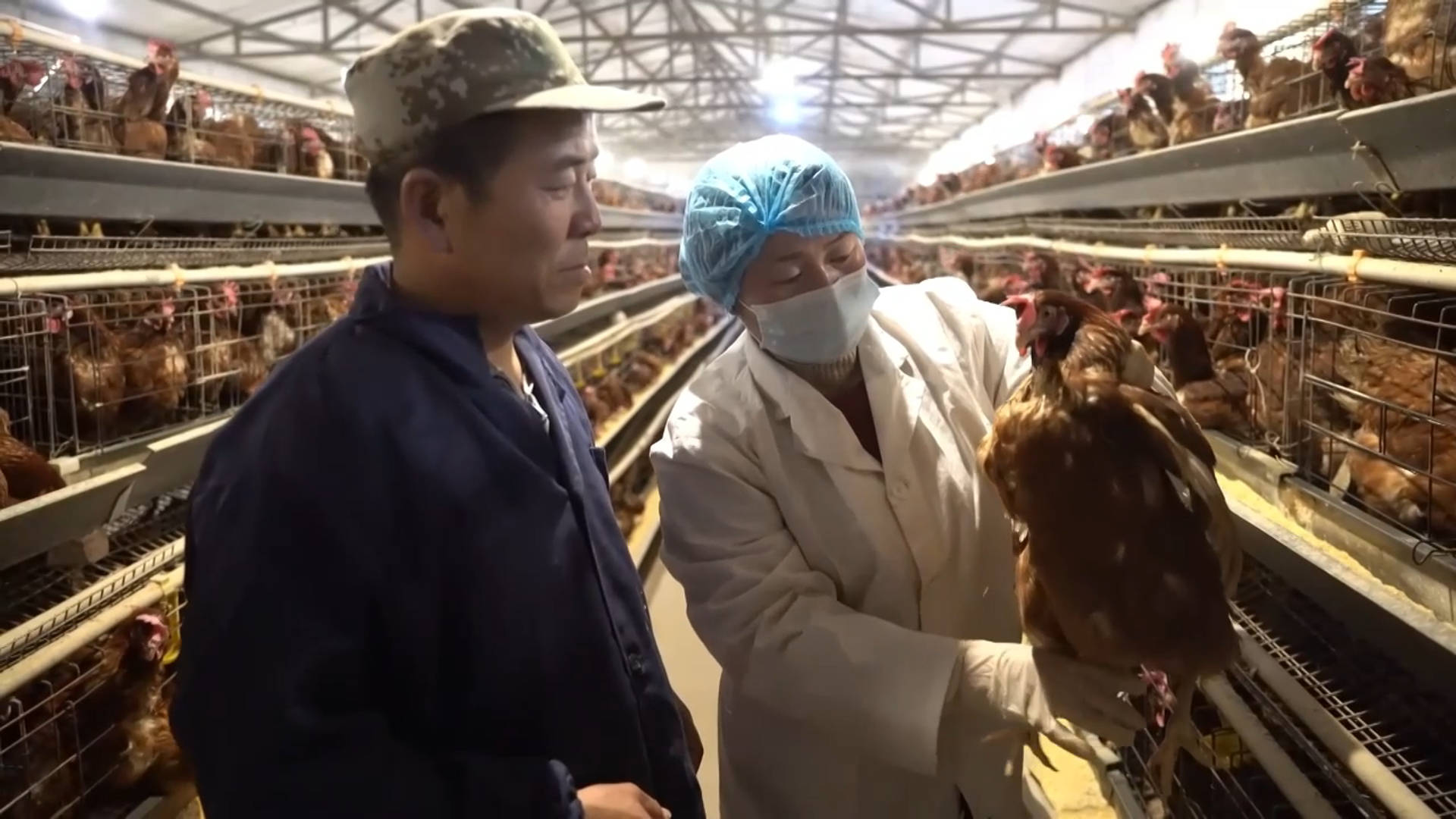 新华视点|大山里的歌声_张华萍_一个人_张平锋