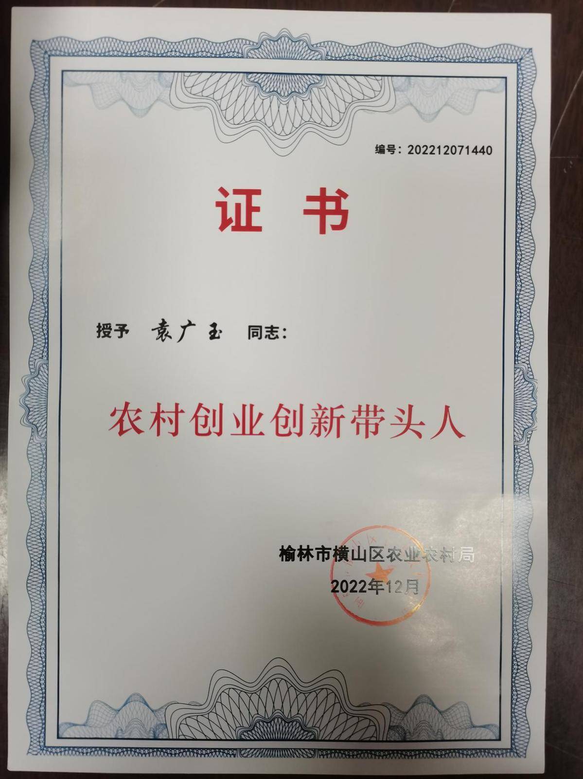 关于村里致富带头人表现情况及不足怎么写的信息