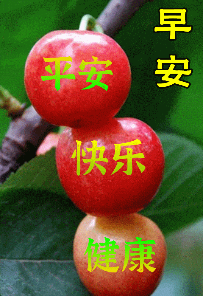 早上好问候祝福语，祝福问候，吉祥安康！