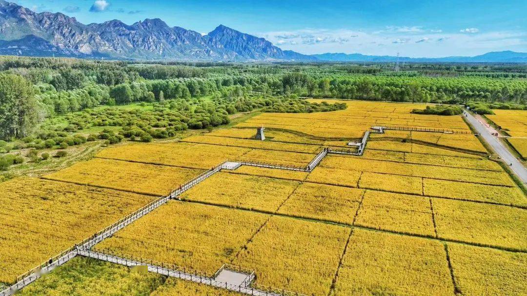 延庆"国家级"美丽休闲乡村后黑龙庙就是这么有范儿——_后黑龙庙村