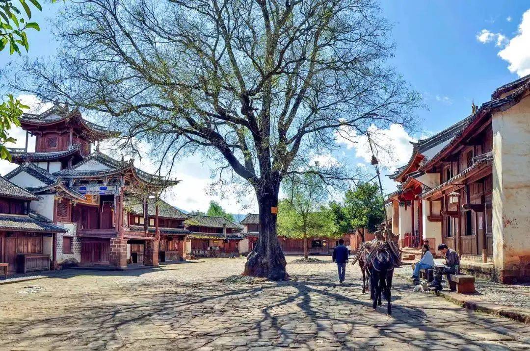 途经洱源县牛街乡,剑川县甸南镇,羊岑乡,马登镇,止于兰坪县金顶镇