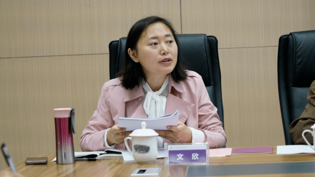 文欣老师点评陆小林老师点评吴志伟主任点评何建国老师点评石斌老师